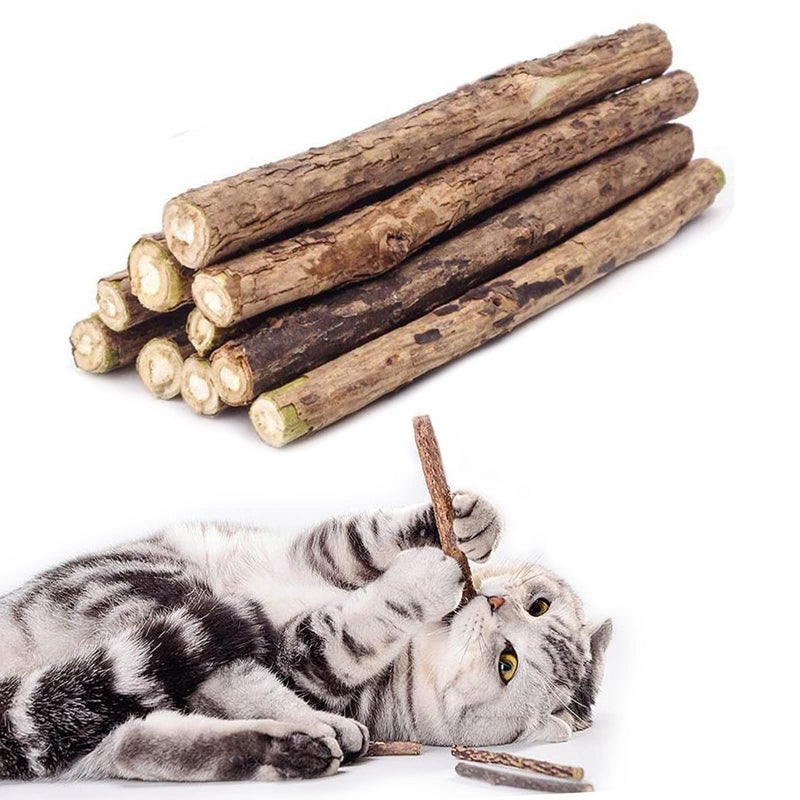 WoLover 10 PCS Cat Catnip Sticks, Natural Matatabi Silvervine Sticks - Cleaning Teeth Molar Tools Kitten Chew Toy Natural Catnip Cats Toy - Image 1
